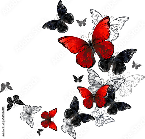 Canvas Print Flight of Black and Red Butterflies Morpho