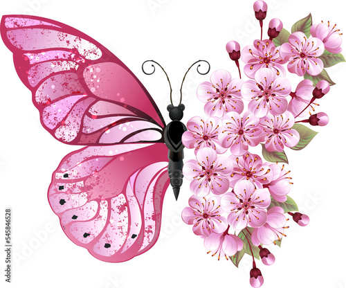 Photography Flower Butterfly with Pink Sakura