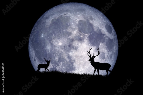 silhouette of a deer on the moon