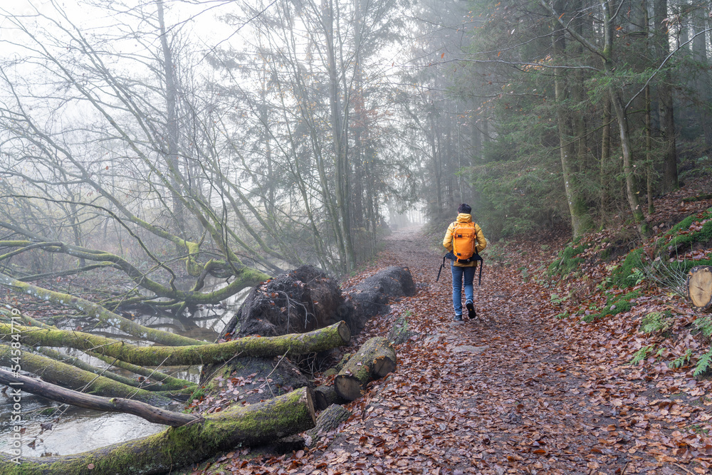 Daher Felsenland in der Pfalz. Wandern im Herbst. Karlstalschlucht bei Trippstadt Daher Felsenland in der Pfalz. Wandern im Herbst. Karlstalschlucht bei Trippstadt