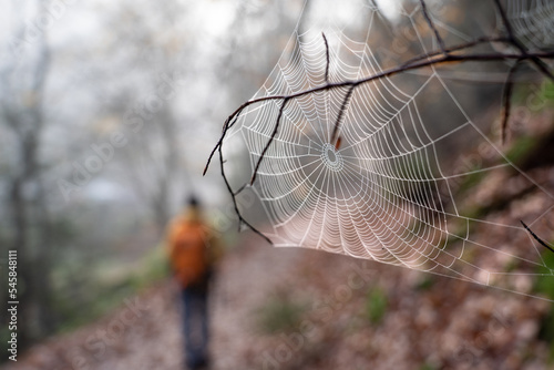 Pfalz im Herbst