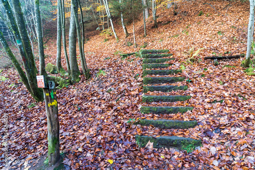 Daher Felsenland in der Pfalz. Wandern im Herbst. Karlstalschlucht bei Trippstadt photo