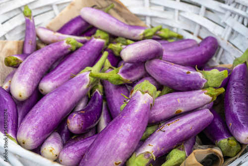 Freshly harvested eggplant. Eggplant, aubergine, brinjal, or baigan is a plant species in the nightshade family Solanaceae. Solanum melongena is grown worldwide for its edible fruit. 