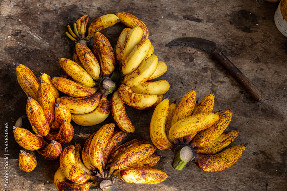 Ripe Bananas Freshly Harvested and Ready to Enjoy