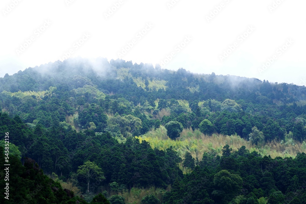 台湾　霧がかる阿里山の山々の風景
