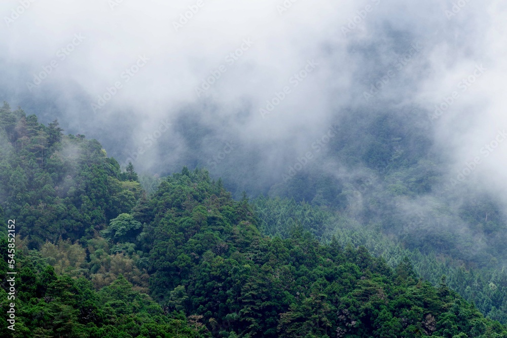 台湾　霧がかる阿里山の山々の風景
