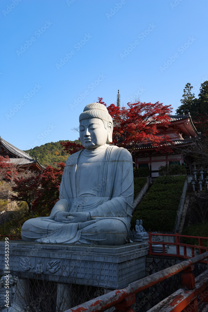 Obraz premium 壺阪寺