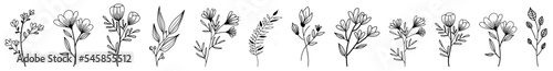 Wild flowers and herbs hand drawn set. Volume 1. Botany. Vintage flowers. Vintage vector illustration.