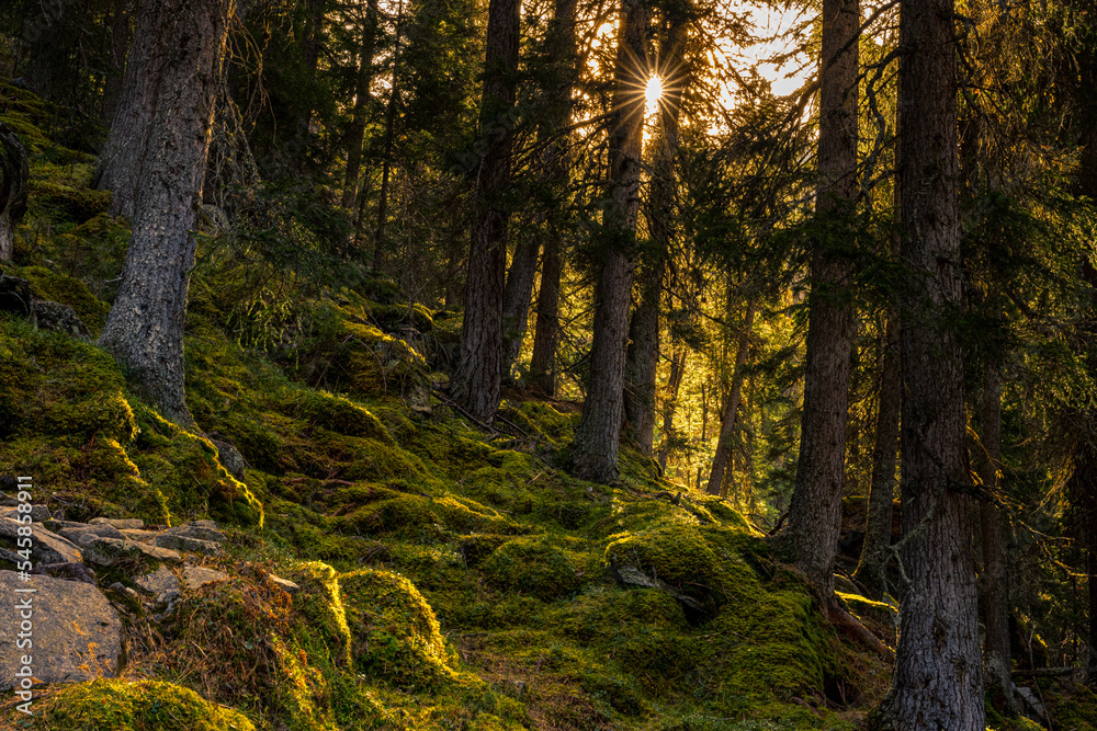Naklejka premium Herbstlandscha