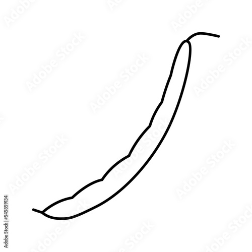green bean pod line icon vector illustration