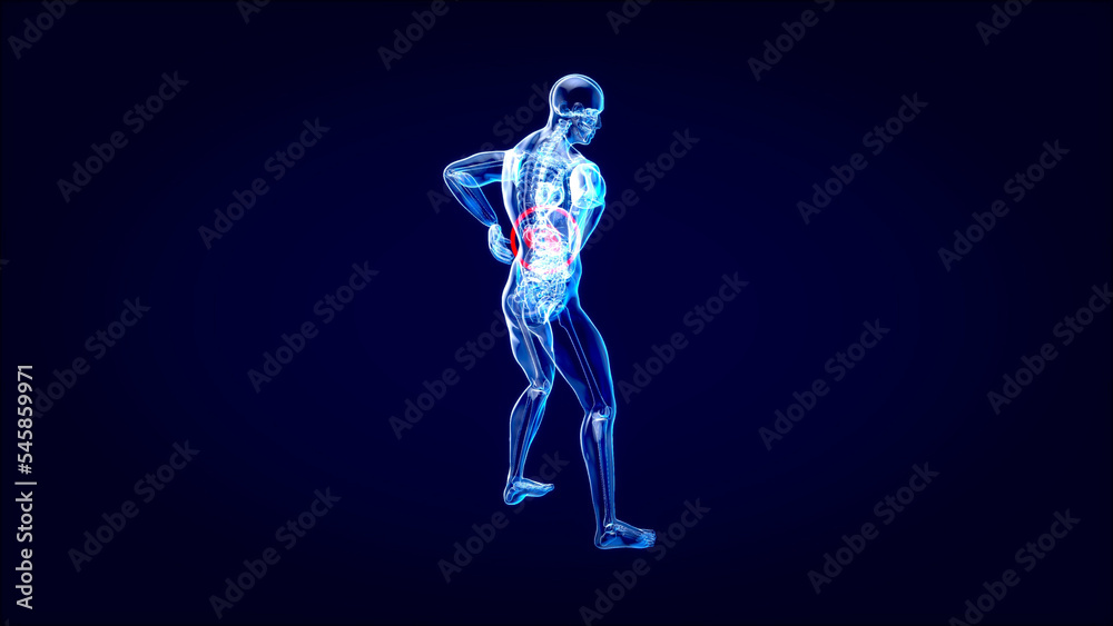 Abstract motion design of backpain and kidneys Abstract motion design of backpain and kidneys