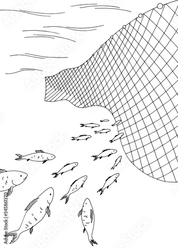 School of fish moving into the fishing net graphic sea black white vertical sketch illustration vector 