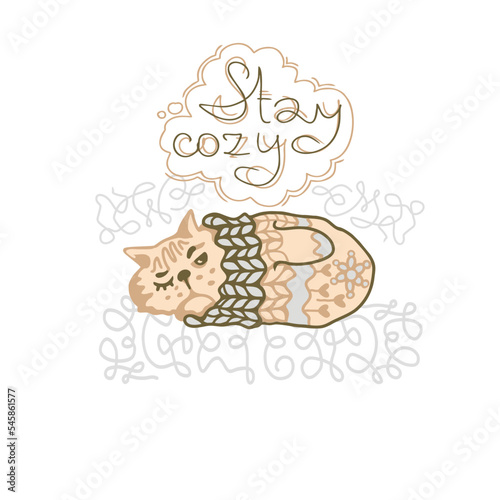The inscription Stay Cozy and the cat climbed into a knitted mitten.
