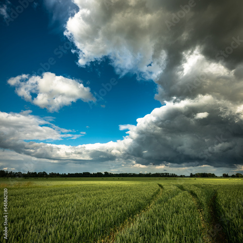 thunder clouds over the field © Latvianphotographer