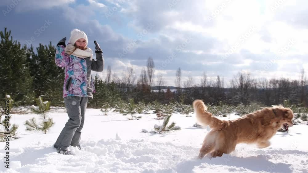 Preteen girl with golden retriever dog playing with snow in frost forest. Child kid with purebred pet having fun outdoors in cold weather