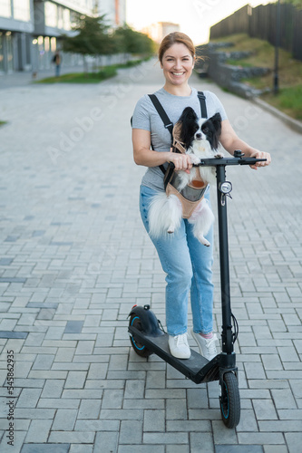 A woman rides an electric scooter with a dog in a backpack. Pappilion Spaniel Continental in a sling. Vertical. photo