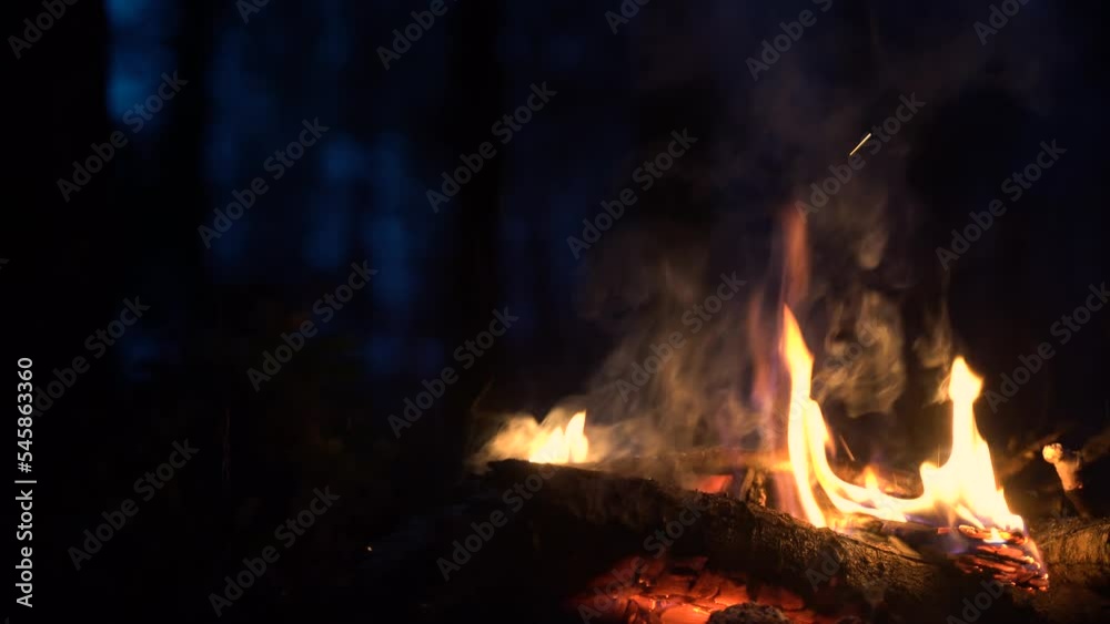 Campfire in the forest. Beautiful landscape of nature and trees. Sparks and flames. Rest by the fire. Camping in the woods. Burning firewood. Evening bonfire. Blue Sky Campfire in the forest. Beautiful landscape of nature and trees. Sparks and flames. Rest by the fire. Camping in the woods. Burning firewood. Evening bonfire. Blue Sky