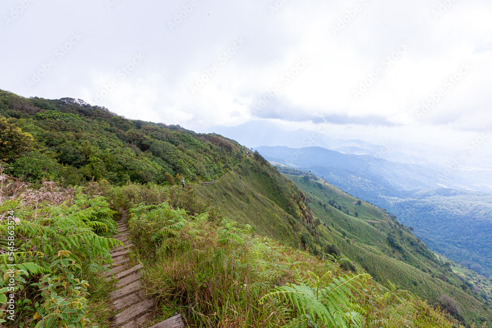 Trail up the mountain covered with fog, Hiking trails in Kew Mae Pan National Park, Chiang Mai Province