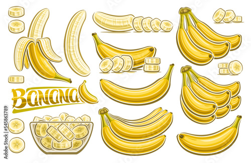 Vector Banana Set, horizontal poster with lot collection of cut out illustrations fruit still life, chopped bananas in transparent dish, group of many variety plantain bunches and yellow word banana