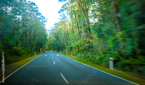 Motion blur scenery along the way to Milford sound New Zealand. © Jemang