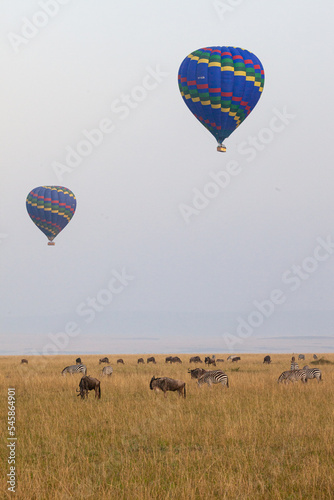 Two hot air balloons float over the Masai Mara in the early Africa dawn