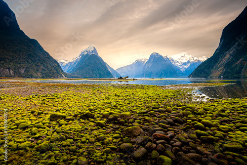 Green stone at milford sound New Zealand.