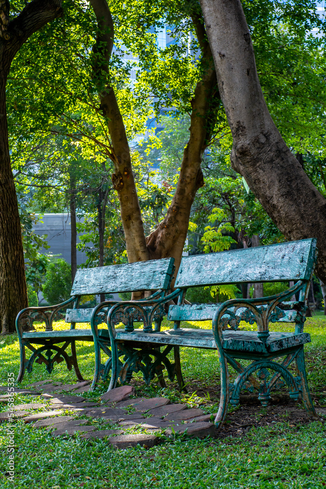 garden bench with morning sunlight
