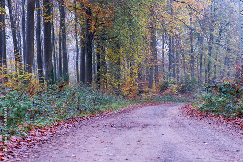 Herbst in der Pfalz photo