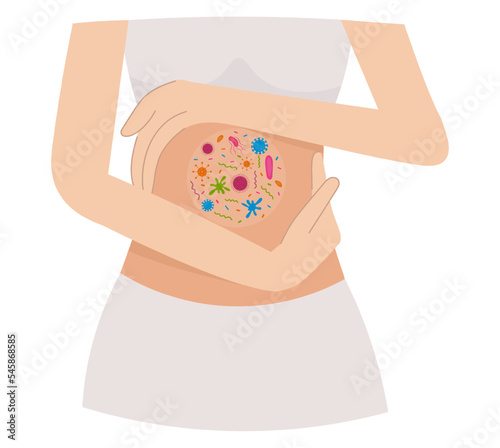 microscopic bacteria. Microflora, viruses in the human intestine. Flat vector character design for demonstration in textbooks, web. The gastrointestinal tract in the gentle hands of a woman. Body care