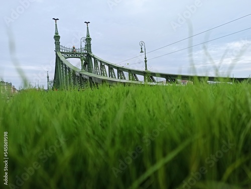 Photography Liberty Bridge in Budapest, the bridge with grass in the foreground