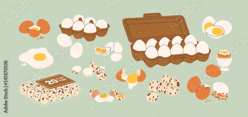 Chicken and quail eggs with broken and whole eggshell, yellow yolk. Raw, cooked, boiled, fried protein food in shell. Farm nutrition packed in box, container. Isolated flat vector illustrations photo