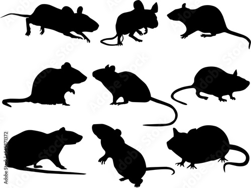 set of mouse silhouettes