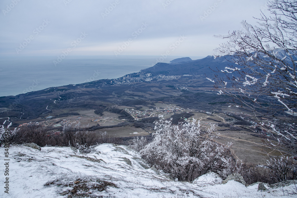 Branches frozen in strangely shaped ice due to the wind Demerdzhi mountain slope in spring. Crimea