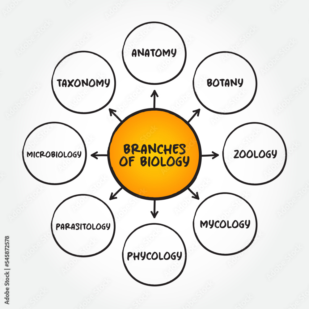 Vetor de Branches of biology mind map text concept for presentations