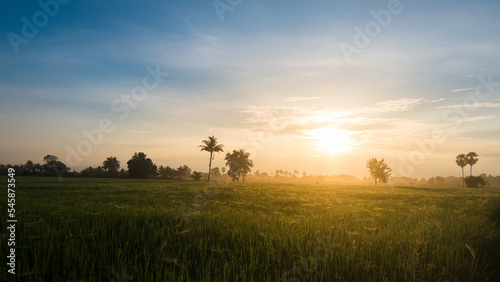 sunrise in the middle of the fields. © Wasan