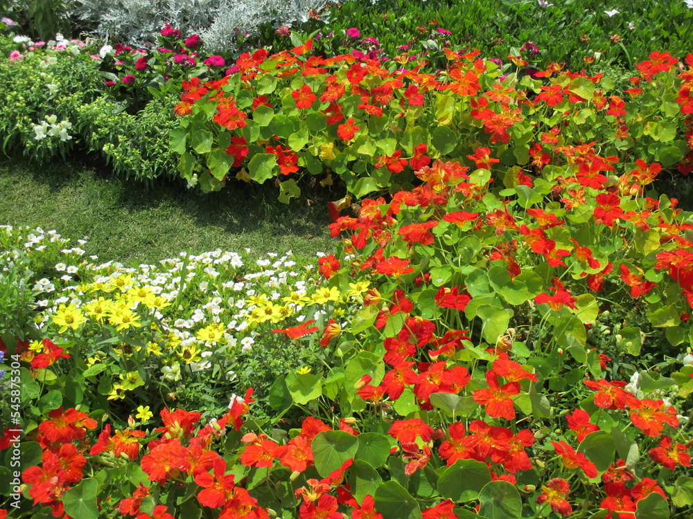 色とりどりの花々が美しく咲き乱れる春の花壇