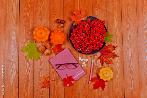 Still life with pumpkin - Pattinson. A notebook with a fountain pen.Red viburnum berry, cranberry.Chicory root.Nuts. Autumn maple leaves.On a wooden background. food..the concept of fresh vegetables.	 photo