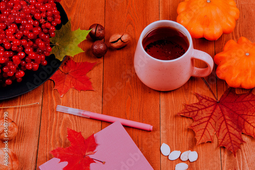 Still life with pumpkin - Pattinson. A notebook with a fountain pen.Red viburnum berry, cranberry.Chicory root.Nuts. Autumn maple leaves.On a wooden background. food..the concept of fresh vegetables.	 photo