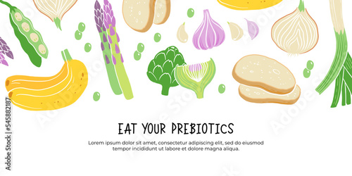 Prebiotic products, sources of these bacteria, nutrient rich food. Flat vector illustration of soy beans asparagus onion banana garlic artichoke