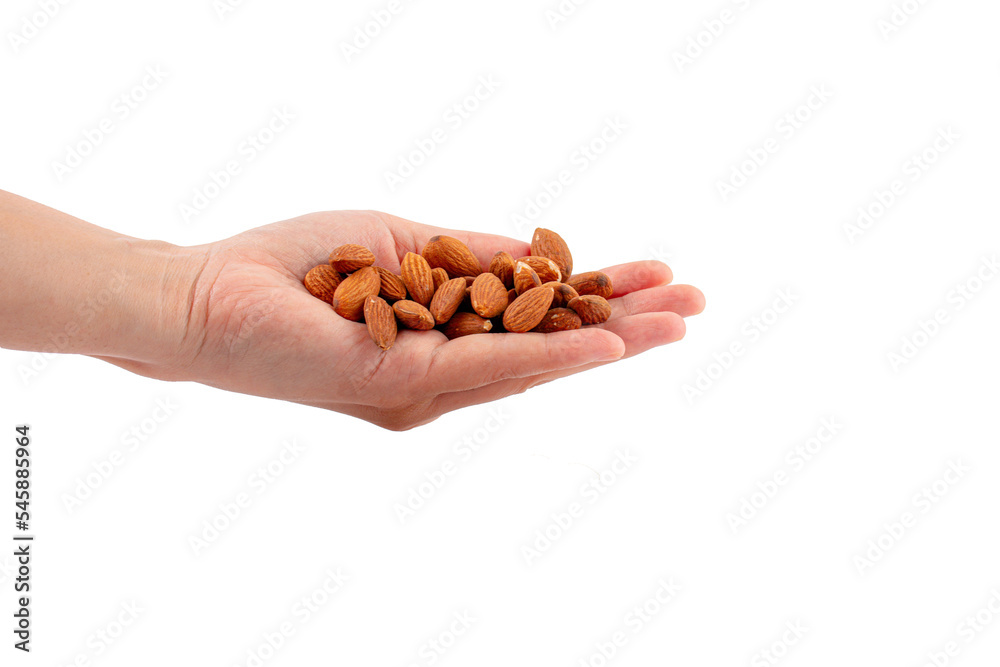 hand holding Almonds seed isolated on transparent background hand holding Almonds seed isolated on transparent background