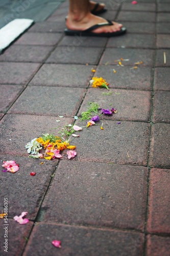 Colorful flower petals from Hindu offerings strewn across the pavement in Seminyak — Bali, Indonesia