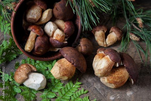 Imleria Badia or Boletus badius mushrooms commonly known as the bay bolete and Porcini mushroom commonly known as Boletus Edulis, clay bowl with mushrooms on vintage wooden background..