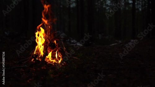 Campfire in the forest in slow motion. Beautiful landscape of nature and trees. Sparks and flames. Rest by the fire. Camping in the woods. Burning firewood. Evening bonfire.