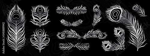 Peacock feather vintage style set. Art deco, nouveau 1920-1930 design.