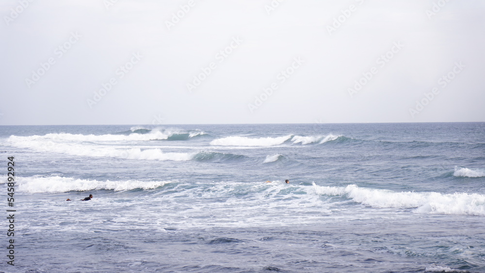 Original Sri Lanka with its cultural code and identity. Traffic, national and religious customs, buildings and nature. palm trees and ocean. beach on the island.