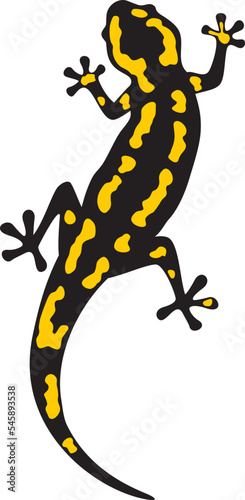 Fire Salamander Animal Color. Vector Illustration.