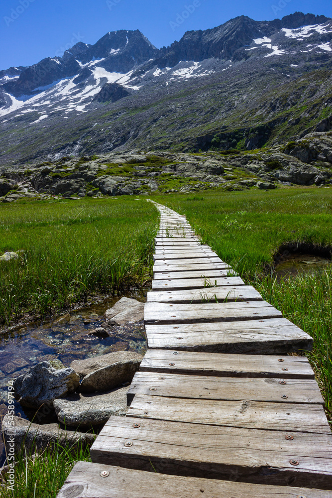 Beautiful mountain landscape near Mandrone refuge, Adamello group, Italy. View of the wooden footbridge over the bog and the glacier. Vertical image.