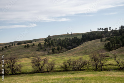 An overlooking view in Custer SP, South Dakota