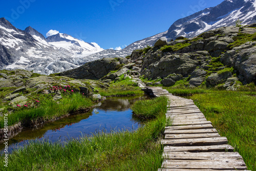 Beautiful mountain landscape near Mandrone refuge, Adamello group, Italy. View of the wooden footbridge over the bog and the glacier.