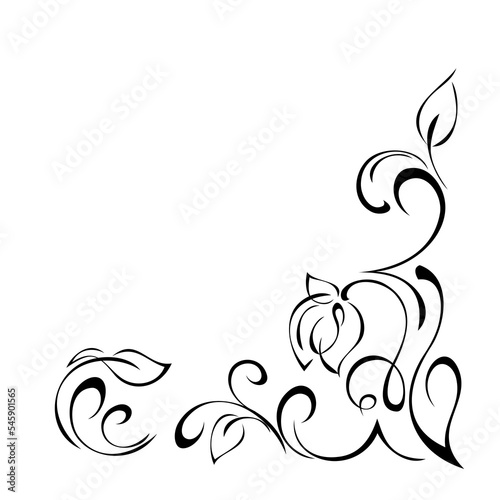 decorative corner design with stylized flowers, leaves and curls. graphic decor